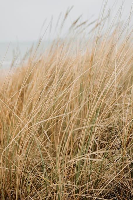 Apartment Etoile31 Seaside Egmond aan Zee